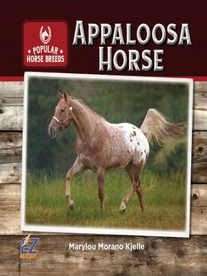 cover image of Appaloosa Horse